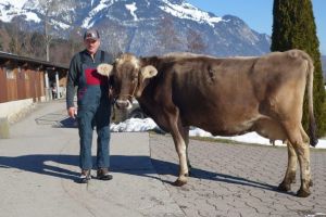 Wurl Wera 60000 kg LL